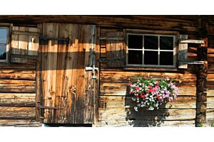 Essential Items for Your She Shed