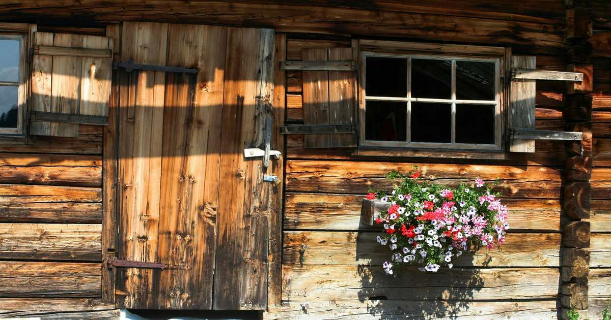 Essential Items for Your She Shed